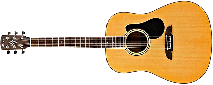 Click to see popular Dreadnought guitar choices.